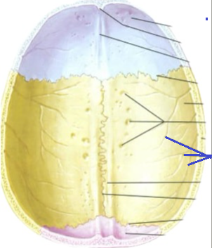 <p>Đây là chi tiết gì ?</p>