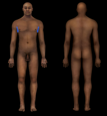 Axillary Region