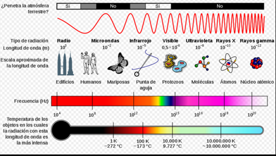 <ul><li><p><strong>Radio: Longitud de Onda Alta y Frecuencia baja</strong></p></li><li><p>Gamma: Longitud de Onda baja y Frecuencia alta</p></li><li><p>Desde la luz ultravioleta genera daño a los seres vivos.</p></li><li><p><strong>Los más nocivos son los rayos gamma</strong></p></li></ul><p></p>