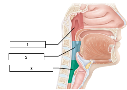 <p>What is 1?</p>