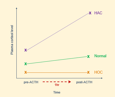 <p>ACTH stimulation test - HOC </p>