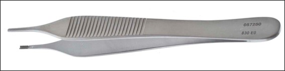 <p>name of instrument</p>