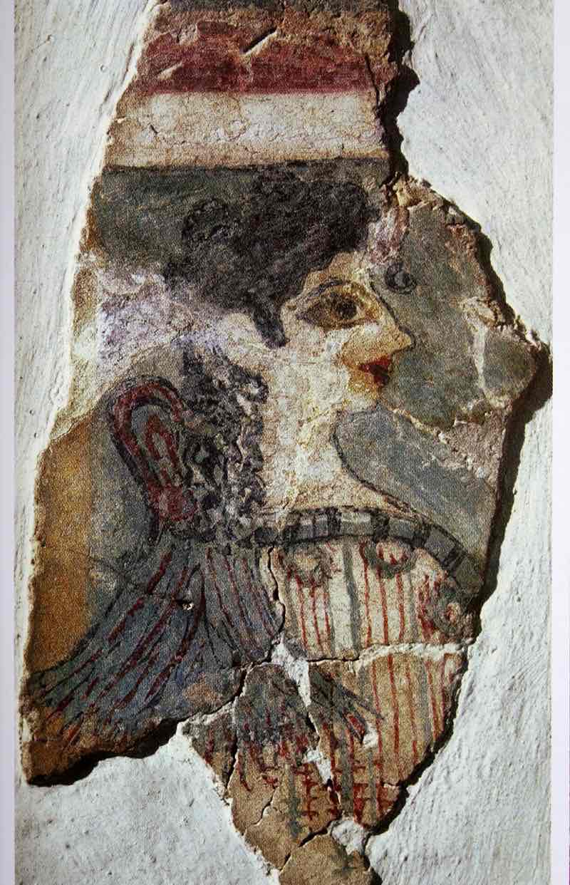 <p></p>