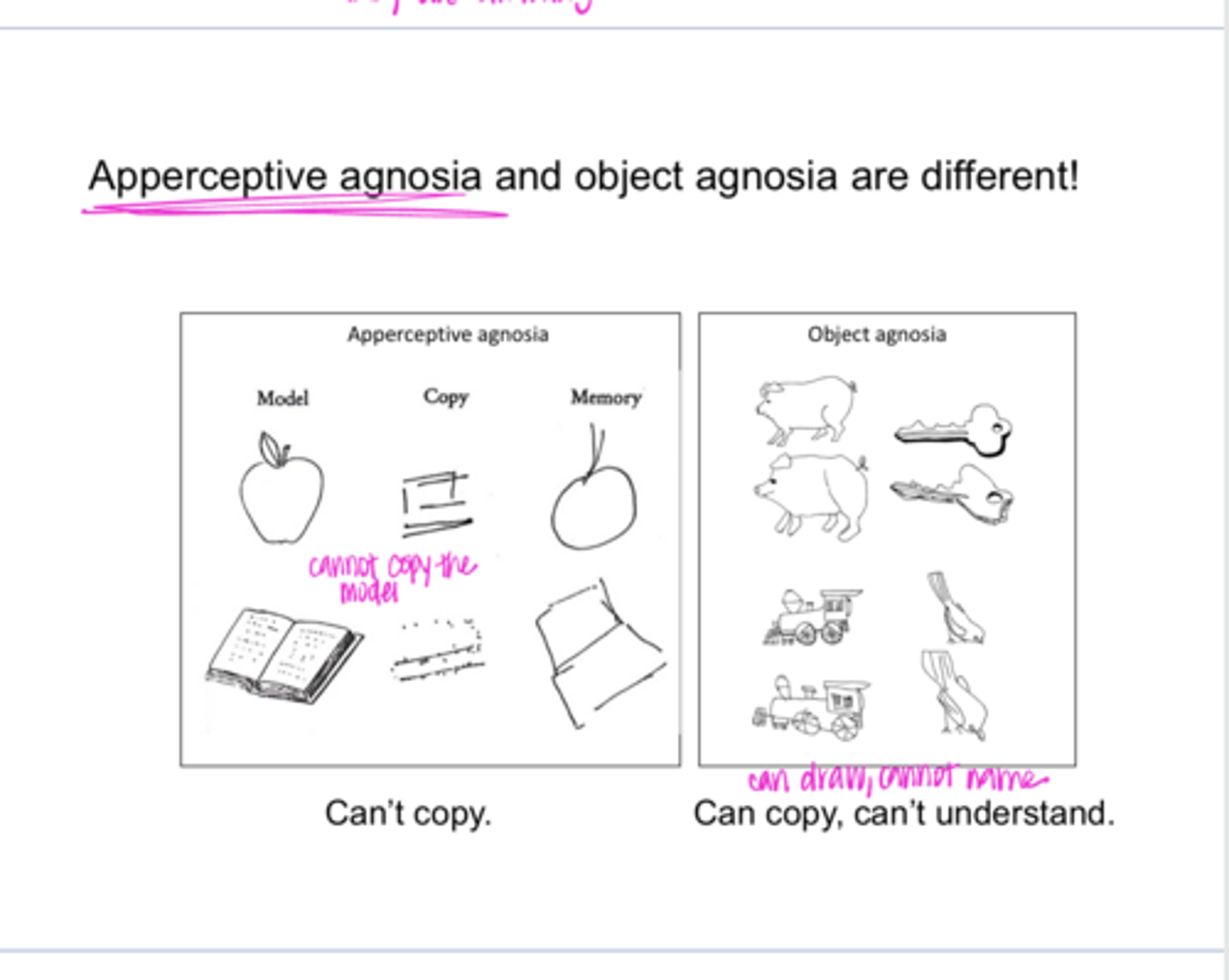 <p>Are apperceptive agnosia and object agnosias the same?</p>