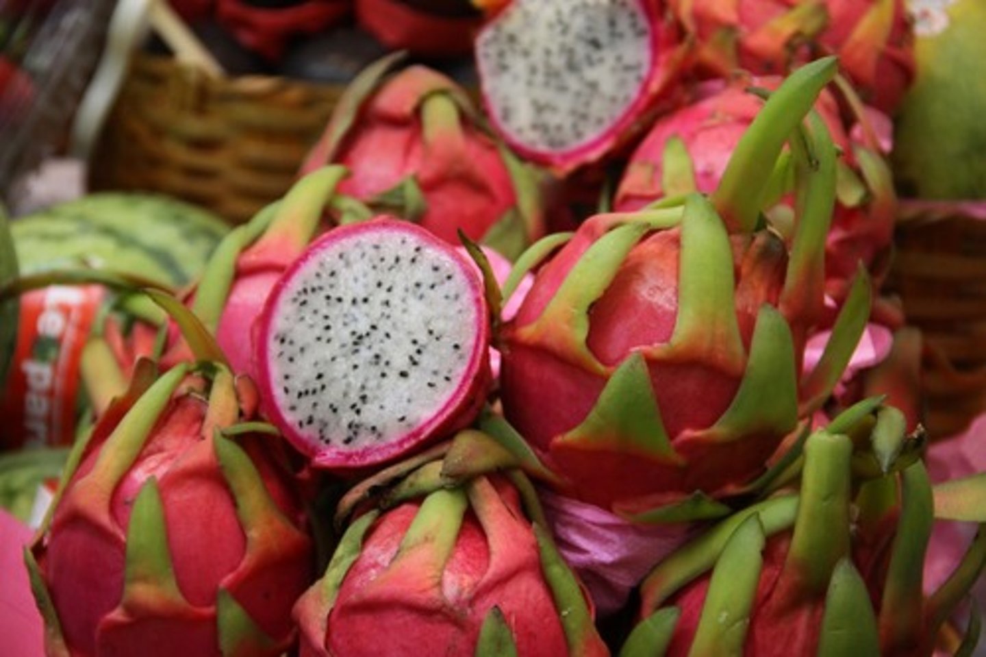 <p>Dragon Fruit</p>
