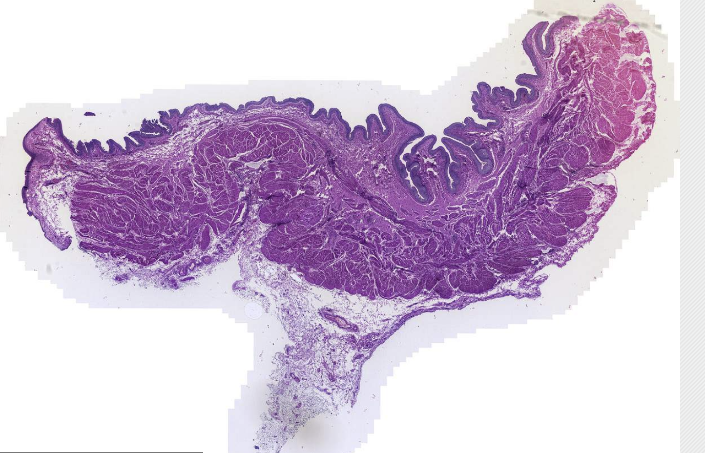 <p>What is this?</p>