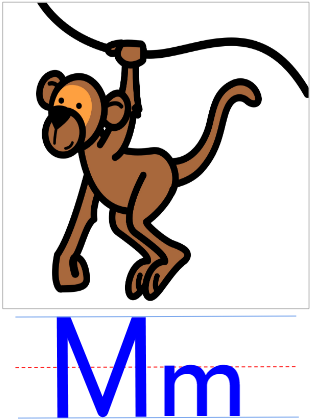 term image