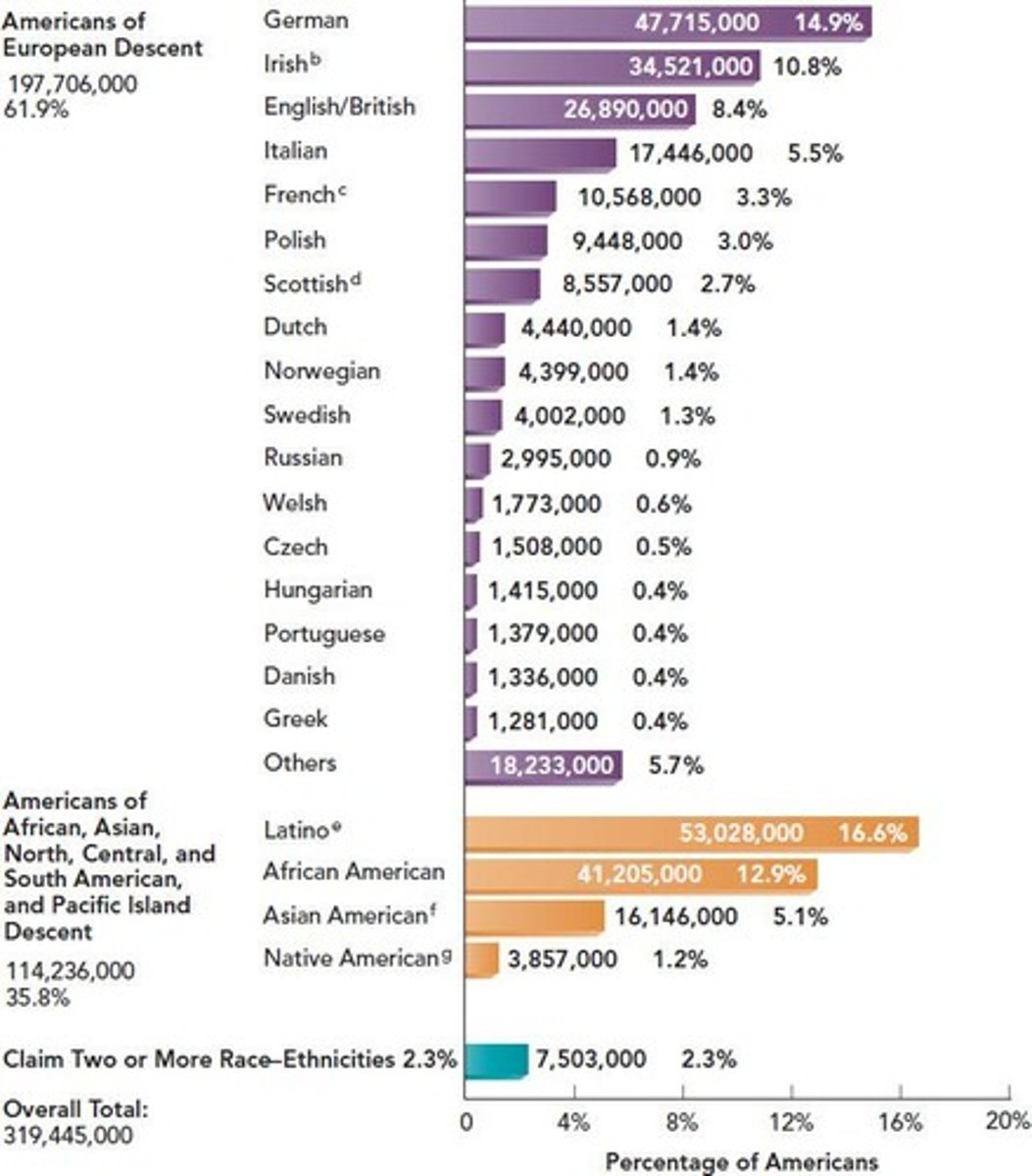 <p>Hispanic Americans/Latinos.</p>