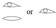 <p>3.1 iri</p>