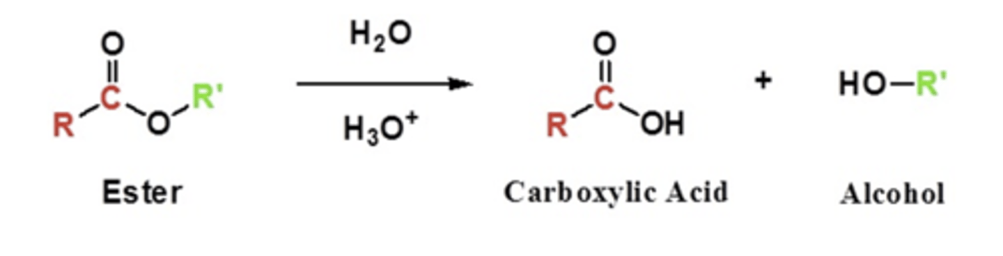 <p>opposite to ester formation you get the acid and alcohol</p>