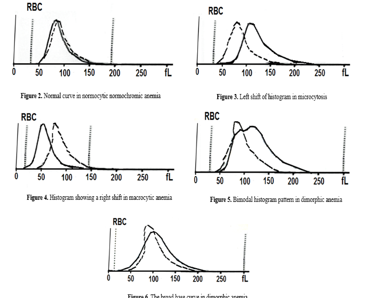 <p>shift left is microcytosis<br>shift right is macocytosis<br>double bump thing is dimorphic<br>wide base is RDW increased variation in RBC size</p>