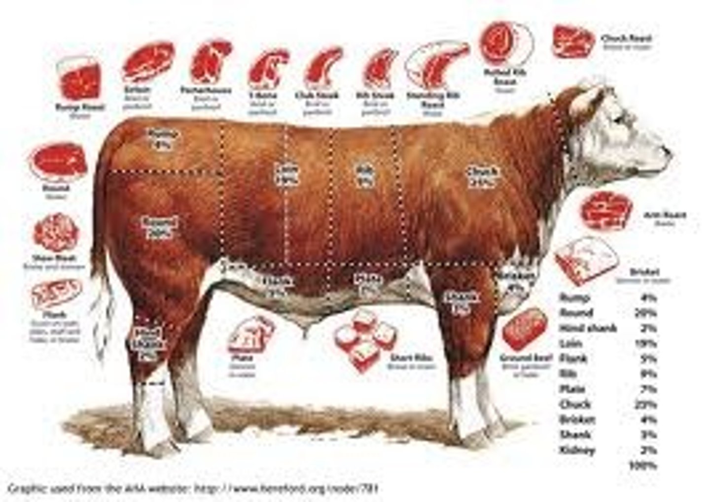 <p>beef</p>