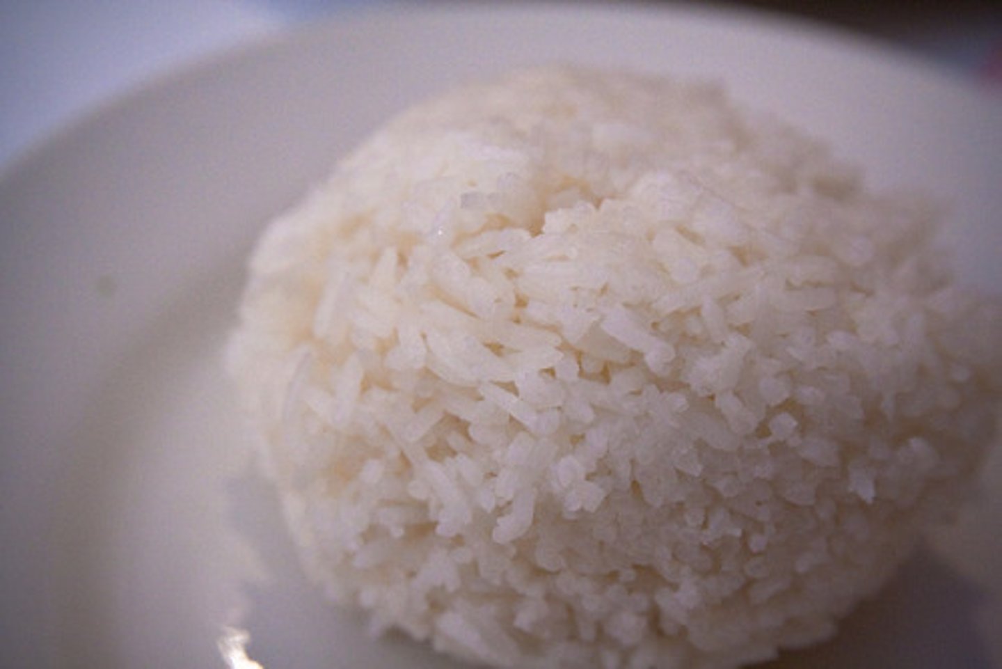 <p>rice</p>