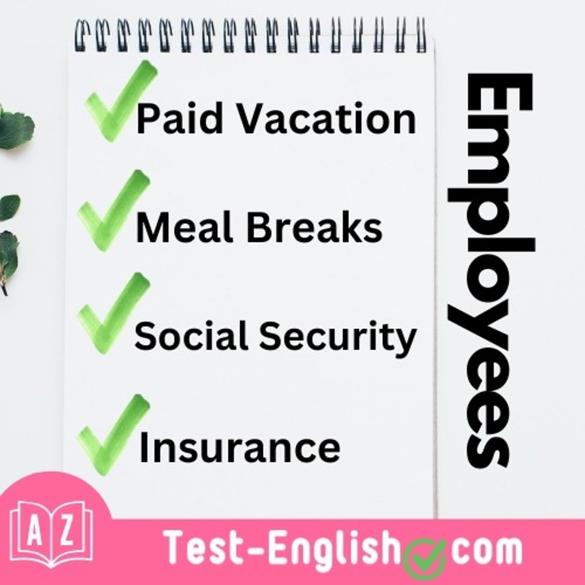 <p>My job offers basic _____, such as insurance and healthcare.</p>