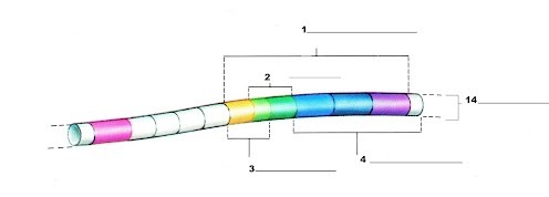 <p>What is label 4?</p>