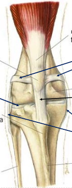 <p>Label this diagram</p>