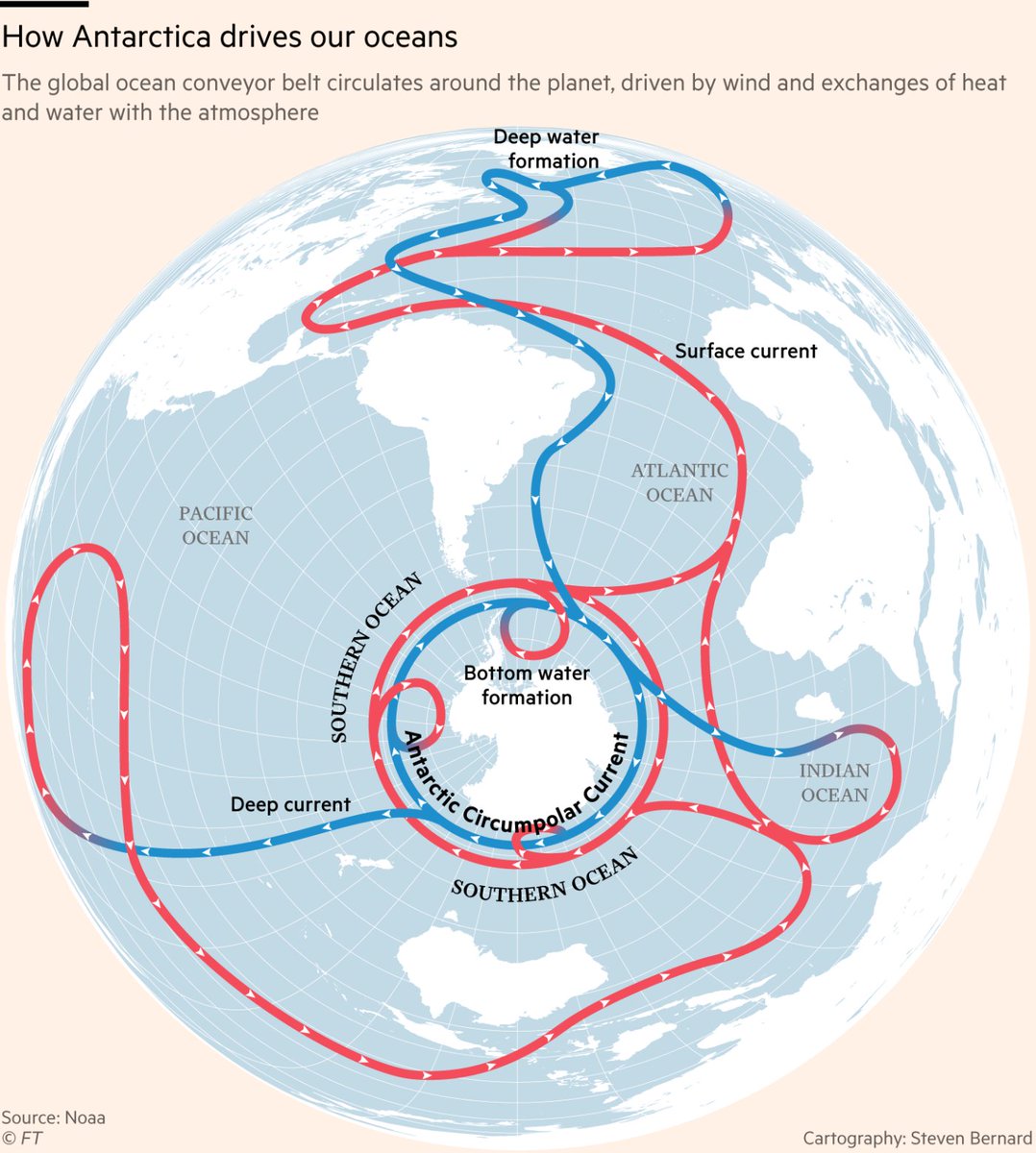 <ul><li><p><strong>Larger and deeper</strong> than Arctic Ocean (~3200m deep).</p></li><li><p><strong>Steep, narrow continental shelf </strong>and the <strong>central meeting point</strong> of oceans.</p></li><li><p>Sea ice varies year to year. </p></li><li><p>Freshwater ice shelves feeding into the ocean due to climate change.</p></li><li><p><strong>Antarctic Circumpolar Current (ACC):</strong> A clockwise flow that leads to upwelling of cold, nutrient rich water. </p></li></ul><p></p>