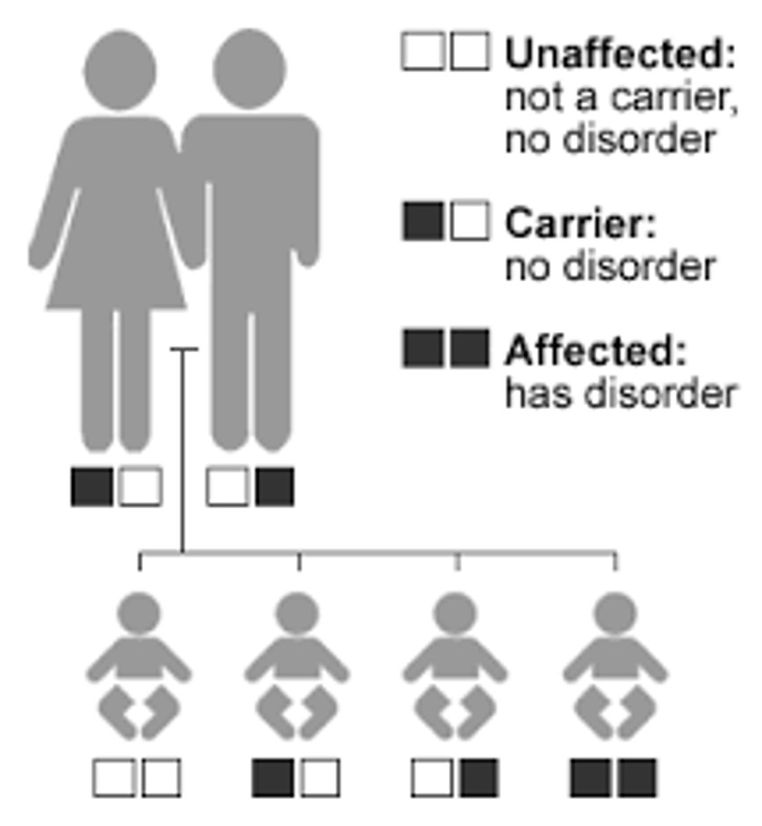 <p>the child cannot have DNA that does not match with one parent or the other</p>