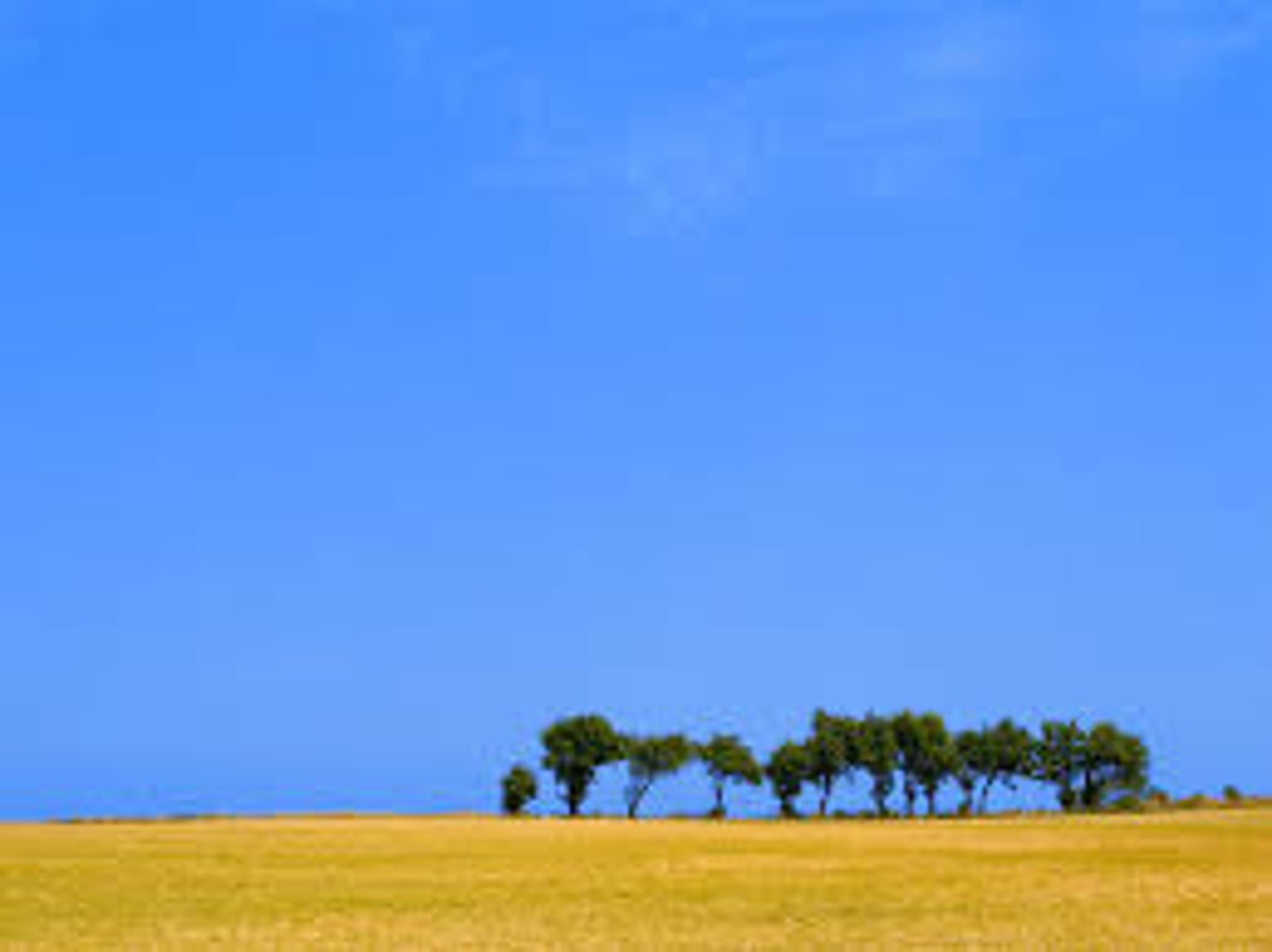 <p>clear (day)</p><p>All is clear!</p>