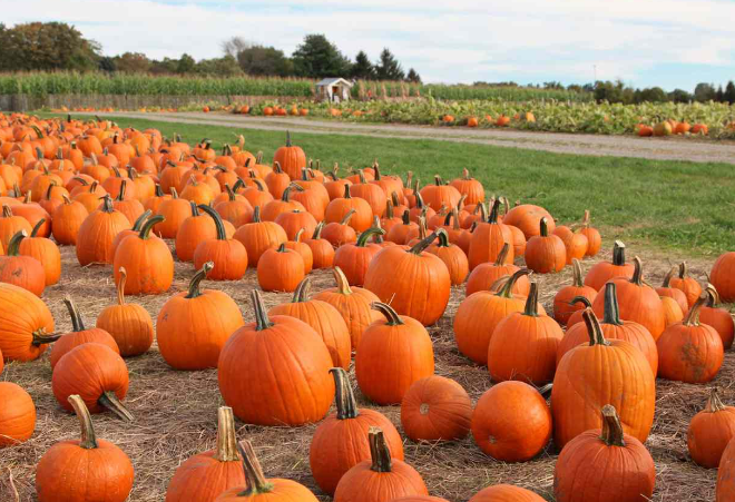 October

