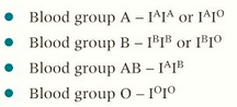 <ul><li><p>some genes have more than two versions but can only carry two (one on each homologous chromosome)</p></li><li><p>I<sup>A</sup> , I<sup>B</sup>, or I<sup>O</sup></p></li><li><p>I<sup>A</sup> and I<sup>B </sup>are codominant while I<sup>O </sup>is recessive</p></li></ul><p></p>