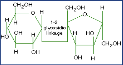 <p>What macromolecule is this?</p>