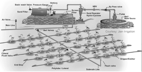 <p>Water Deficit, and what factors need to be considered? talk about management systems like flood irrigation, trickle drip irrigation, lateral move, central pivot,Gun irrigation and the benefits and drawbacks.</p>
