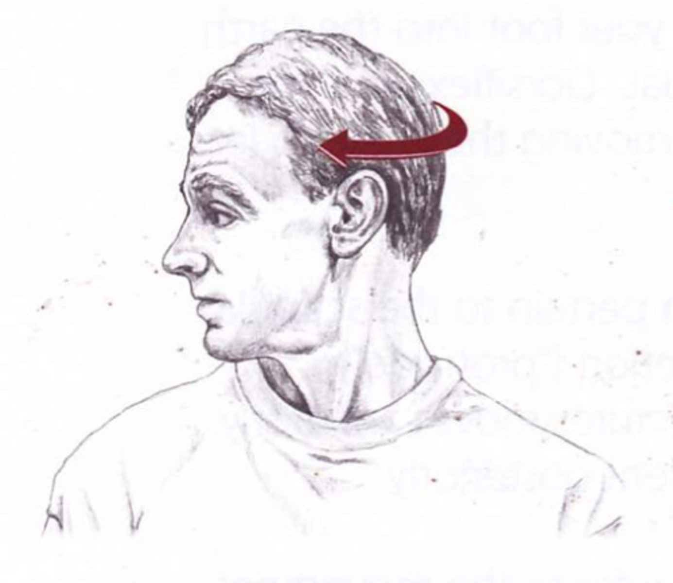 <p>what movement</p>