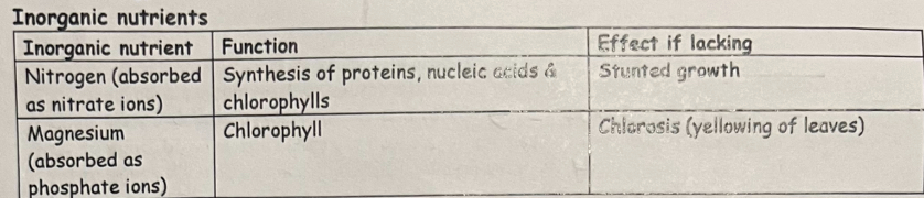 <p>The following substances may be manufactured from <strong>triose phosphate:</strong></p><ul><li><p><strong>Glucose</strong> (actually fructose bisphosphate converted to glucose or combined with glucose to produce sucrose) &amp; other carbohydrates (e.g. alpha glucose stored as starch or beta glucose forms cellulose)</p></li><li><p>﻿﻿<strong>Lipids</strong> (phospholipids need a source of phosphorus)</p></li><li><p><strong>Amino acids</strong> (need a source of nitrogen &amp; sulphur)</p></li><li><p>﻿﻿<strong>Nucleic acids</strong> (need a source of nitrogen &amp; phosphorus)</p></li></ul><p></p>