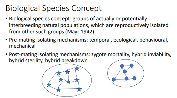 <ul><li><p><strong>defining species biologically is possible when two groups are reproductively isolated from each other</strong>, either by pre-mating (temporal, ecological, mechanical or behavioural eg. different mating calls) or post mating (hybrid mortality/sterility/inviability eg. mules)<strong> isolating mechanisms</strong></p></li><li><p>this is helpful because it provides a mechanism for how/why the species are distinct</p></li></ul><p>however:</p><ul><li><p>it is difficult to know whether it would be <strong>possible </strong>for two species to mate, especially if their geographical ranges don’t overlap (<strong>allopatric</strong>), because we can’t necessarily force the two to mate- hybridisation could be possible even between what we thought were very distinct species</p></li><li><p><strong>ring species</strong>- there is <strong>gene flow </strong>between <strong>adjacent </strong>populations around a geographical barrier (eg. a mountain range), but <strong>no gene flow </strong>between the species where the ring meets, which evolved in different <strong>directions </strong>around the barrier</p></li><li><p>this concept can’t be applied to fossils or to exclusively or alternately asexual species because reproduction must be observed</p></li></ul><p></p>