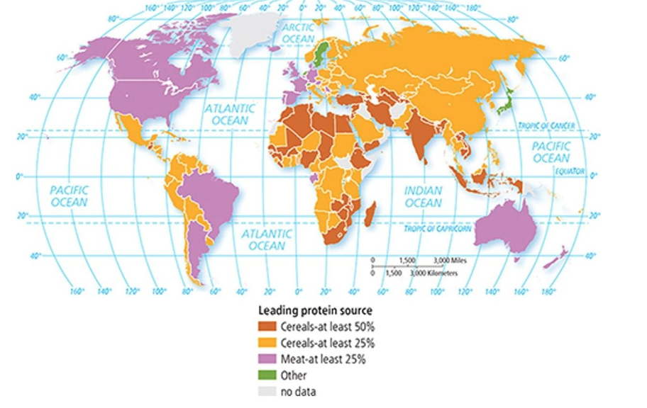 <p><span>Use Figure 9-6 to answer the question. As demonstrated in this map of worldwide protein sources, which of the following statements is TRUE?</span></p><p><span>a. Sweden and Japan have a shortage of protein in the diet.</span></p><p><span>b. Developing countries have a high demand for meat products.</span></p><p><span>c. Nations in the northern hemisphere get most of their protein from cereals.</span></p><p><span>d. Europeans eat too much meat.</span></p><p><span>e. Cereals make up the largest protein source for most developing countries.</span></p>