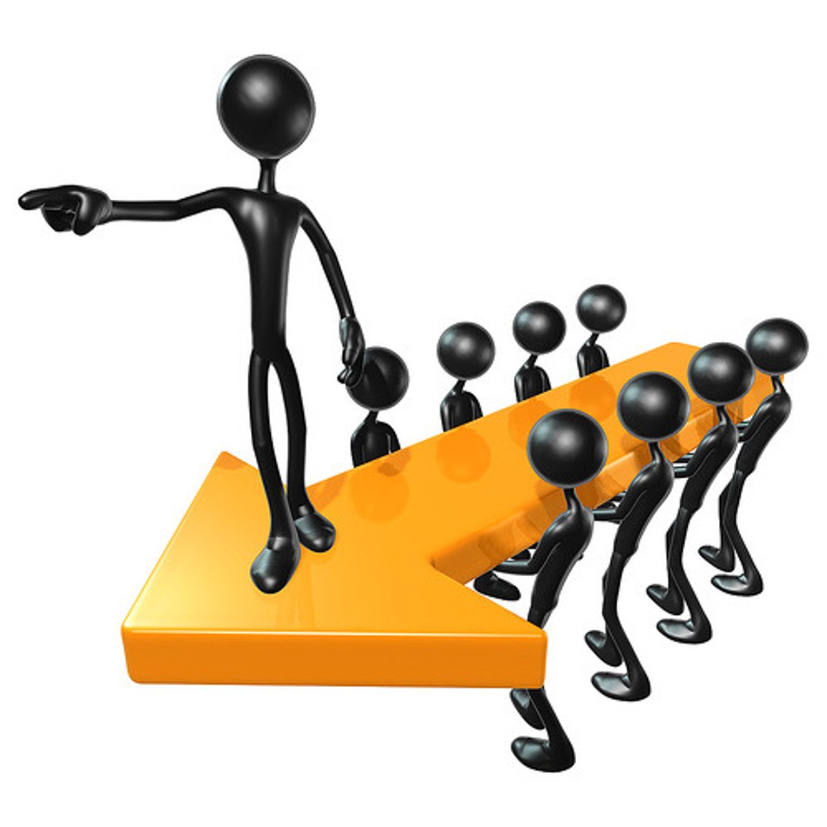 <p>A person who believes in and promotes the truth or benefits of an idea or theory; the math thingy</p>