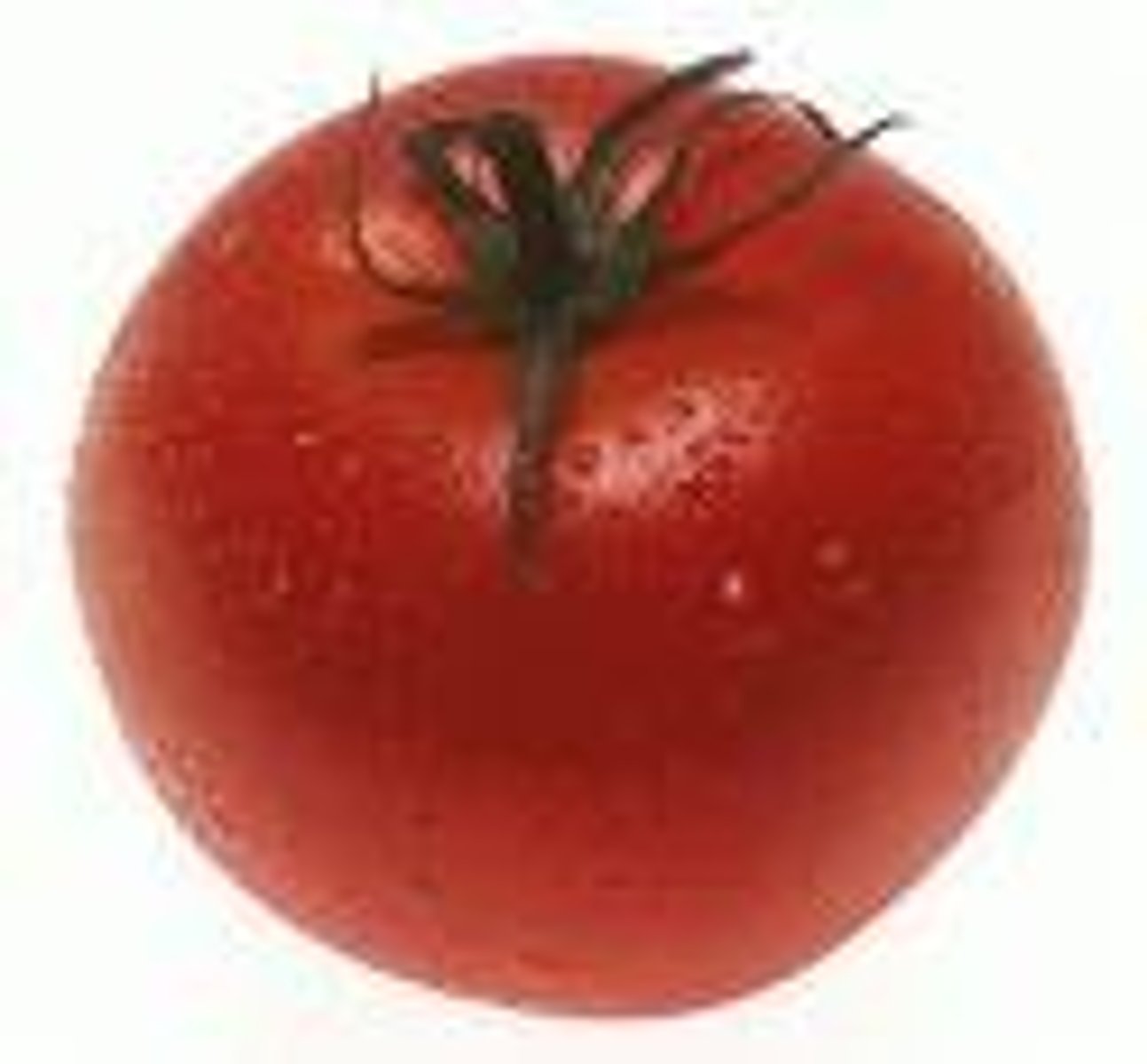 <p>tomato</p>