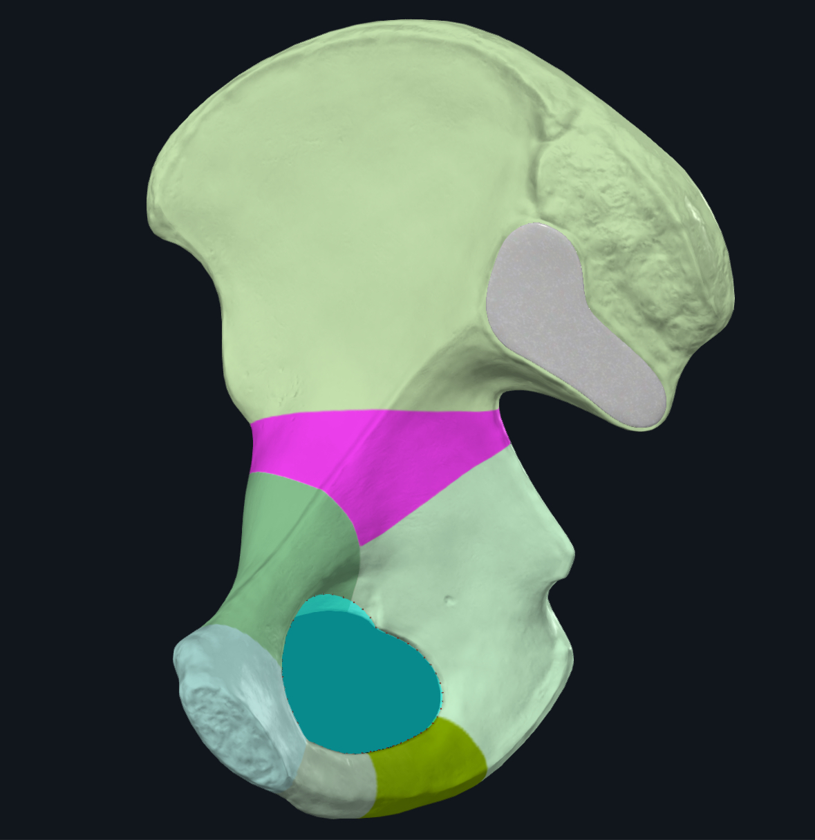 term image