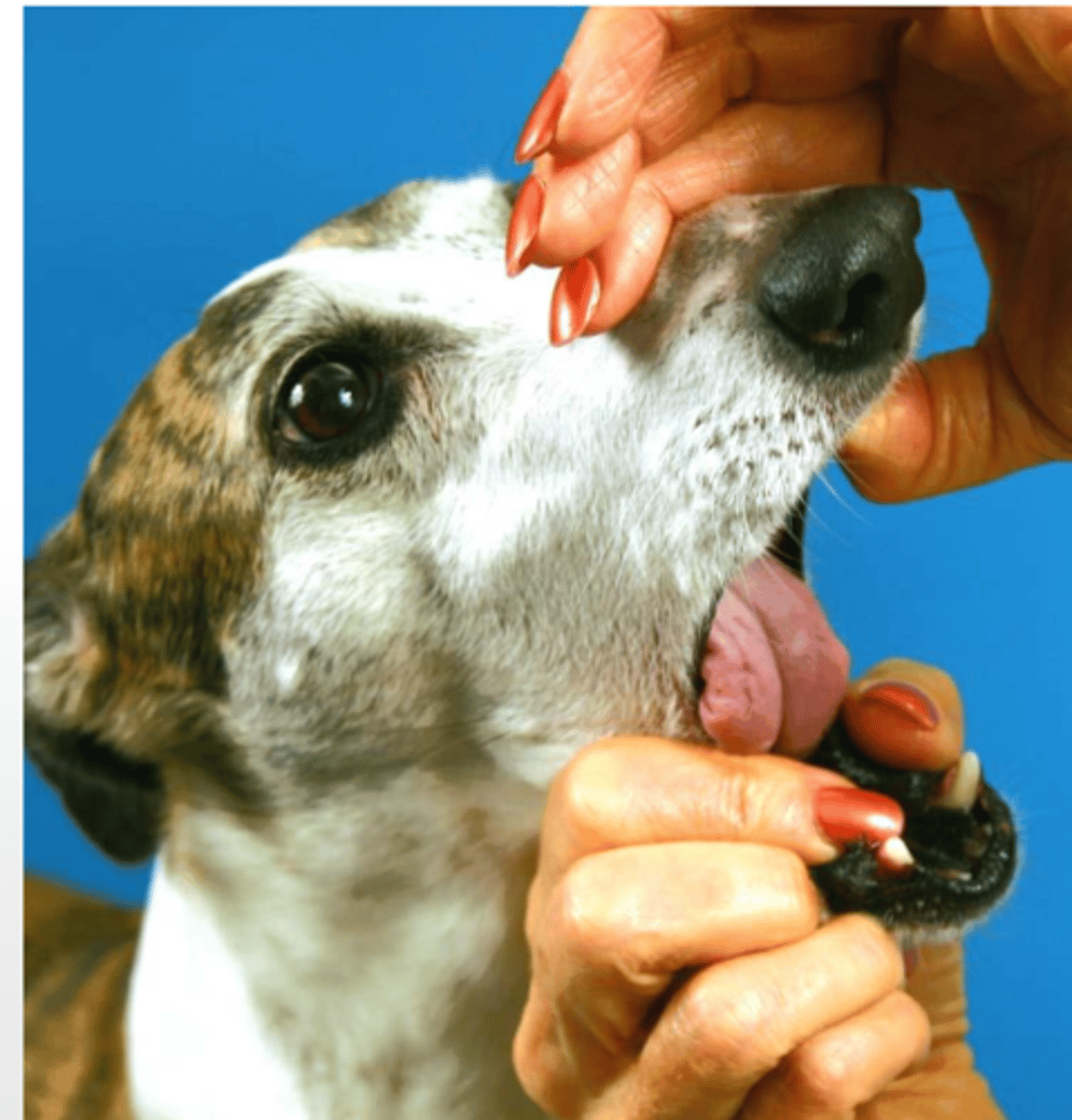 <p>when we evaluate the tongue, what nerve are we checking?</p>