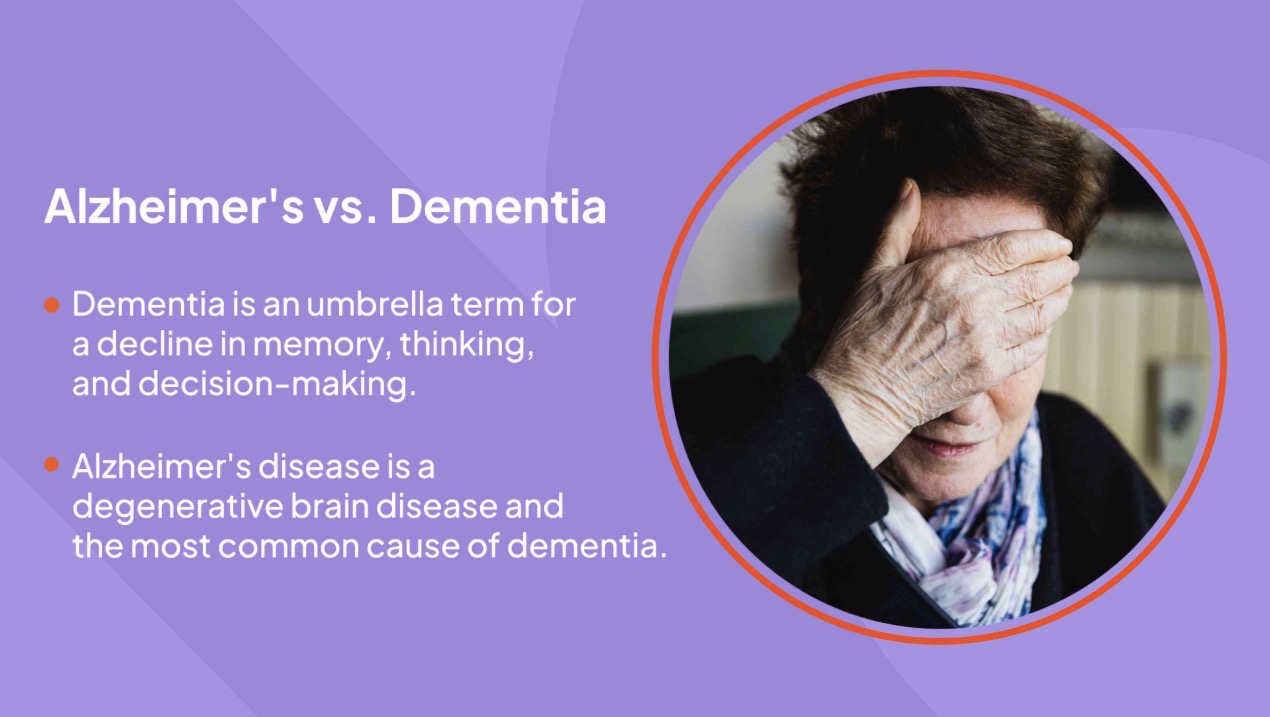 <p>déménage </p><p>Elle déménage dans une nouvelle maison </p>