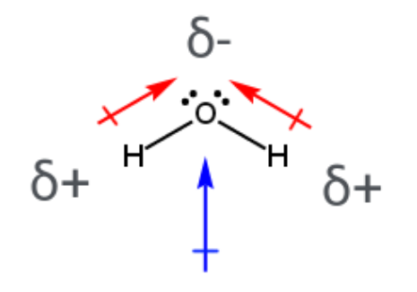 <p><span>the uneven distribution of charge within a molecule, resulting in a partially positive end and a partially negative end, which gives the molecule a net polarity and a dipole moment</span></p>