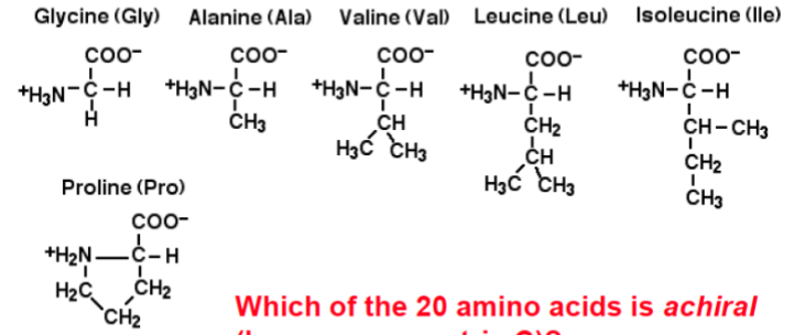 <p>Glycine[GLY] Alanine[ALA] Valine[VAL] Leucine[LEU] Isoleucine[ILE] Proline[PRO]</p>