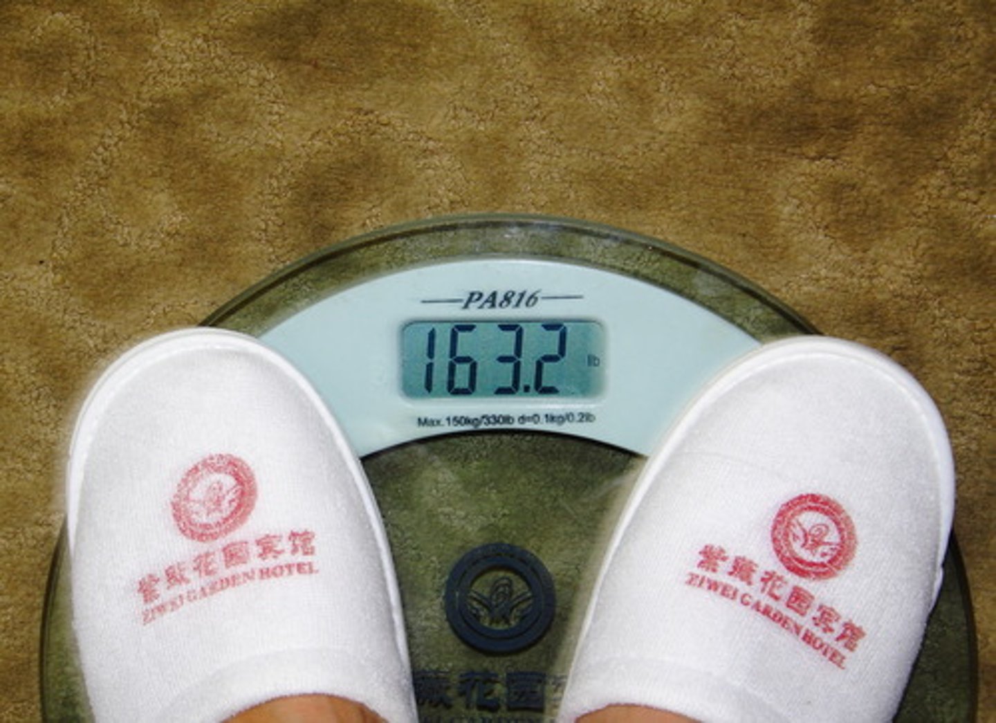 <p>(zēngjiā)- to increase; to add</p>