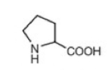 <p>Proline (P)</p>