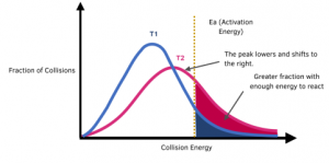 <ul><li><p>When the temperature is increased from <strong><span>T1</span></strong> to <strong><span>T2</span></strong>, the shape of the Maxwell Boltzmann distribution changes. <mark data-color="yellow">The peak lowers and shifts to the right.</mark></p></li></ul><p></p><ul><li><p><span>Increasing the temperature increases the proportion of particles that have sufficient energy (at least the activation energy) to react. This can be observed from the shaded region which increases in area when the temperature is increased.</span></p></li></ul><p></p><ul><li><p>As a result of there being a greater proportion of particles having sufficient energy to react, the rate of reaction increases.</p></li></ul><p></p><ul><li><p>The graph shows that even a small increase in temperature can lead to a large increase in rate.</p></li></ul>