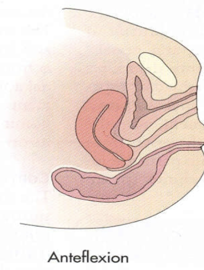 <ul><li><p>A <strong>forward bend </strong>of the <u>uterine body</u> on the cervix</p></li><li><p>occurs at the <span style="color: #0076ff">isthmus</span></p></li></ul><p></p>
