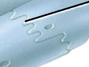 <p>What does the pointer point to?</p>