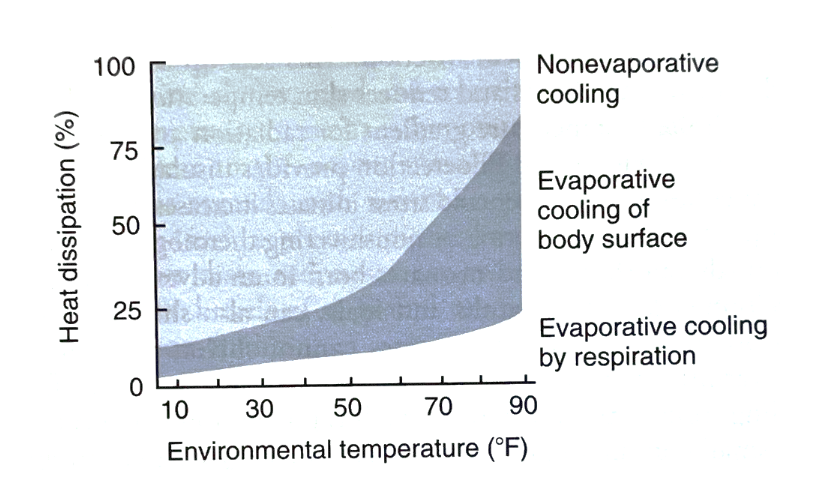 <p>evaporation</p>