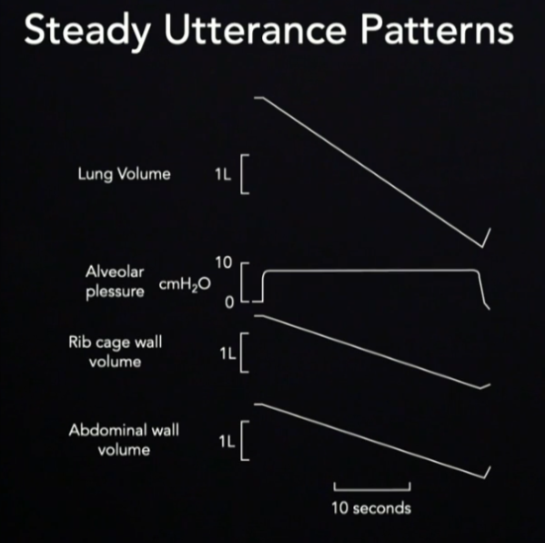 <p>Lung Volume: decreases as we speak/exhale</p><p>Alveolar Pressure: remains steady as we speak/exhale and drops when we stop</p><p>Rib Cage/Abdominal wall volume: decrease as we speak/exhale</p>