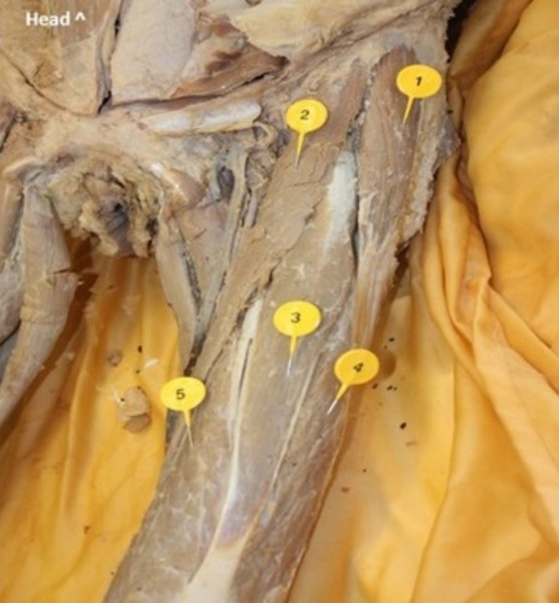 <p>1</p>