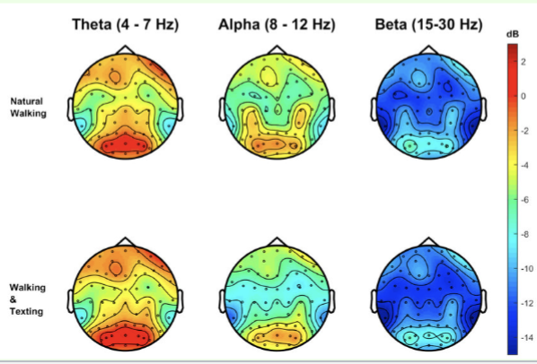 <p>color maps of brain functioning made from qEEG</p>