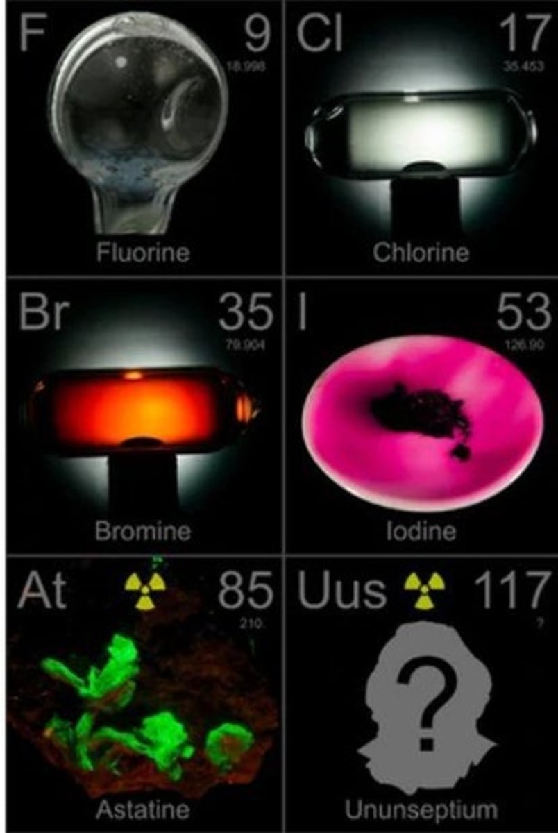 <p>Elements in Group 17 known as 'salt makers.'</p>