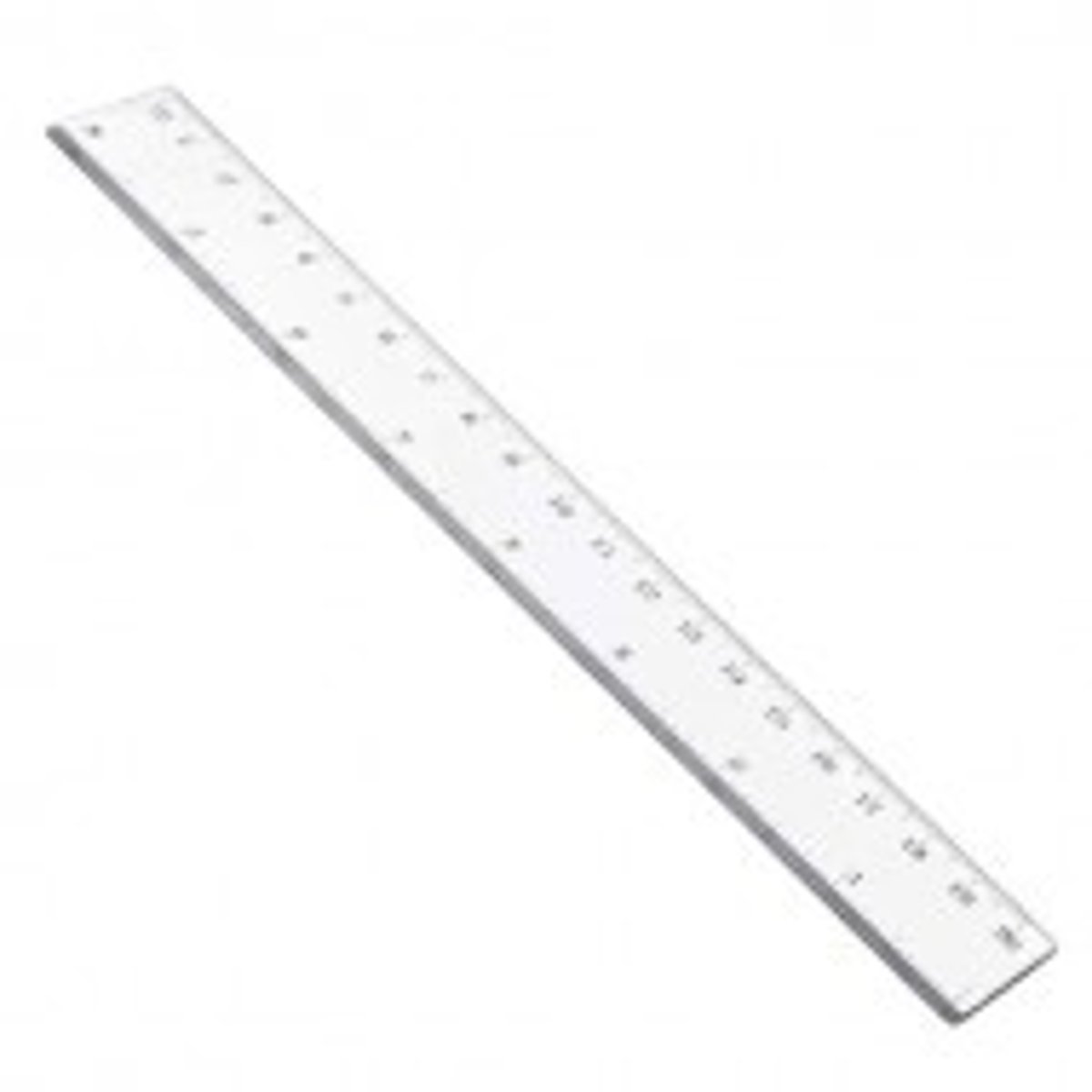 <p>the ruler</p>