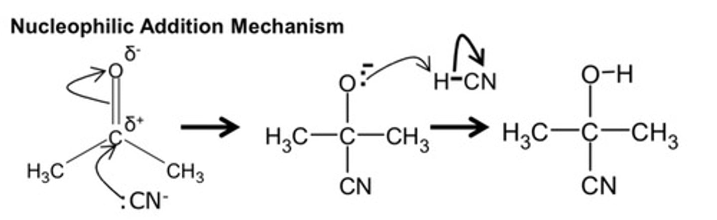 <p>MP1 - negative on C̄N</p><p>MP2 - δ+ and δ- on the C and O respectively</p><p>MP3 - negative on Ō: and arrow onto H</p><p>MP4 - arrow from H-C bond to C</p><p>MP5 - H attaches to O</p>